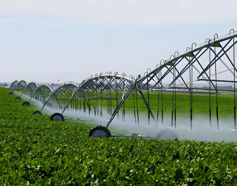 Micro-Sprinkler Irrigation System
