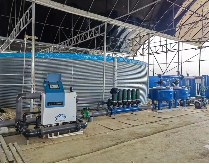 Projeto de cultivo de substrato de mirtilo Yunnan Yunnan