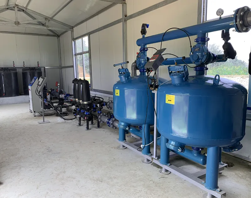 Projeto de cultivo de cerejeira de China Shandong