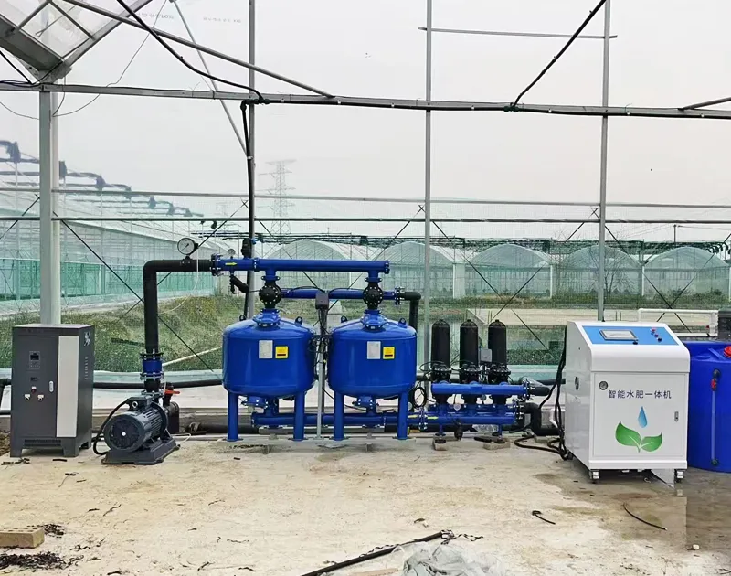 Projeto de cultivo de tomate porcelana Gansu