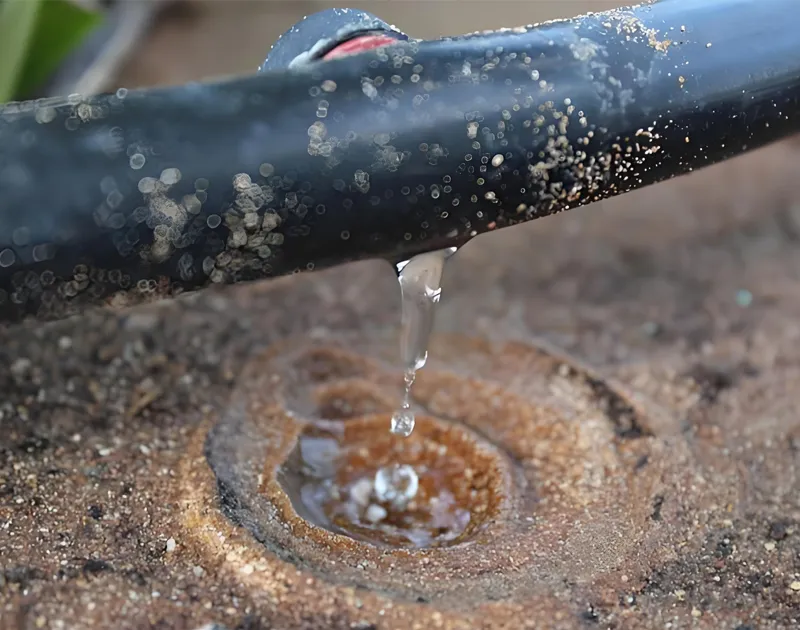 Irrigação por gotejamento